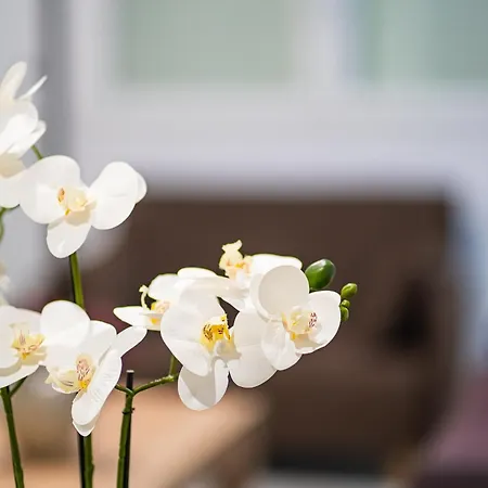 Feel Greek Hospitality #θ005