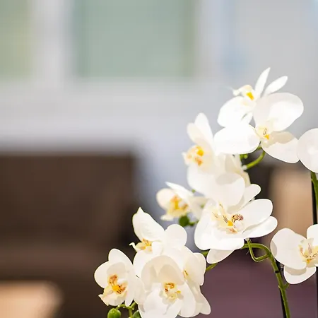 Feel Greek Hospitality #θ005 Apartment *